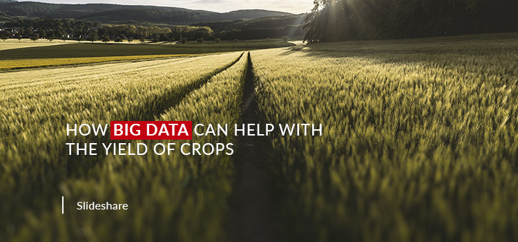 How Big Data can Help with the Yield of Crops